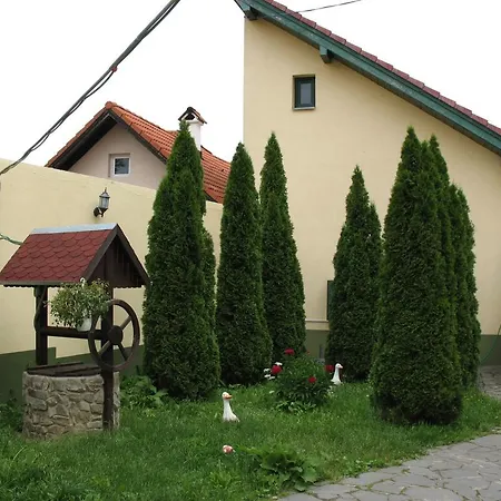 Sub Cetate Cisnădie